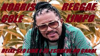 REGGAE LIMPO DE NORRIS COLE PEDRA DJ [upl. by Ethyl314]