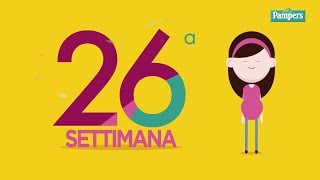 26° settimana di gravidanza [upl. by Neeroc]