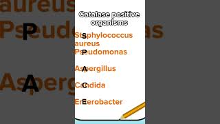 Catalase positive organisms mnemonic [upl. by Ribaudo]