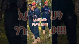 አምና አድስ አበባ  Best Amharic Music [upl. by Dann]