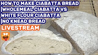 HOW TO MAKE CIABATTA BREAD WHOLEMEAL CIABATTA  NO KNEAD BREAD LIVESTREAM COOKING FOOD VLOG [upl. by Whatley202]