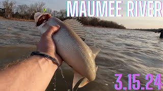 Walleye Run 2024 First Look Maumee River [upl. by Deedee]