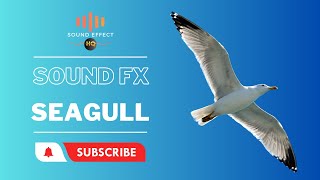 SEAGULL  Sound Effect HQ [upl. by Airotciv502]