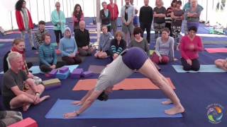 Iyengar Yoga class By Birjoo Mehta  World Yoga Festival [upl. by Nyladnar]