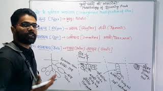 तने के रूपांतरण  Modification of stems  Morphology Of Stem In Hindi  Biology [upl. by Michaeline]