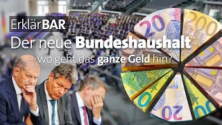 ErklärBAR Der neue Bundeshaushalt – Wo geht das ganze Geld hin [upl. by Ysor]