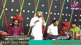 বুকটা আমার ভাঙ্গা বাড়ি🔥বাউল হাবিব খান🔥Bukta Amar Vanga Bari🔥Baul Habib Khan [upl. by Caras]