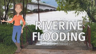 Riverine Flooding [upl. by Ennagem]