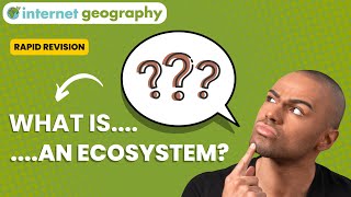 What is an ecosystem [upl. by Florentia]