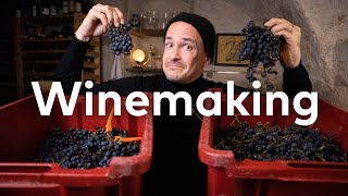 MASTER of WINE makes PINOT NOIR How to make Red Wine Part 1 [upl. by Dranek241]