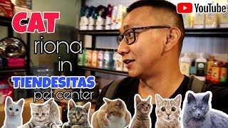 Best Pet Shop In the Philippines 🇵🇭  Tiendesitas Pet Shop 🐈  Tiendesitas Cat Shop 🐈  Cat Lover ❤ [upl. by Nobile]