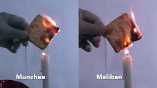 Cream Cracker Burn Test  Munchee vs Maliban [upl. by Maude263]