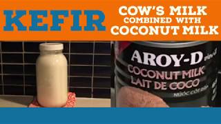 Milk Kefir with Coconut Milk  Start to Finish [upl. by Ahsenra]