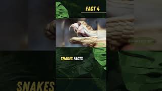 Snake Venom Natures Deadliest Weapon Part 1 facts snake history wildlife ytshorts trending [upl. by Aihtnamas]