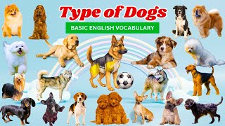 Dogs  Types of Dog  Dog Breeds Vocabulary  Big Dog Breeds  Dog Names in English  Moko Loko Tv [upl. by Paucker182]