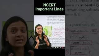 What is Stomatal Apparatus  Revision Biology NEET  NCERT important lines for NEET neetneet2025 [upl. by Ieso636]