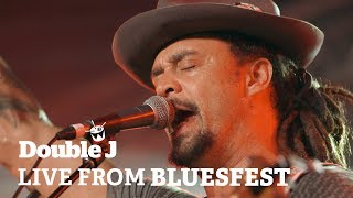 Michael Franti  Flower In The Gun live at Bluesfest [upl. by Whetstone]