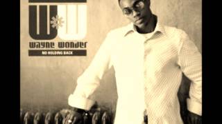 Wayne Wonder  My Kinda Lady [upl. by Aicre]