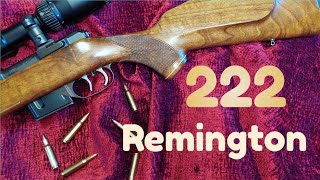 Video  17 – 222 Remington in a BRNO Fox II [upl. by Flanagan]