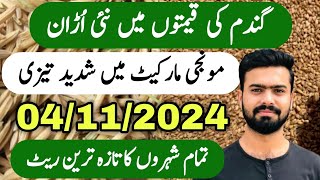 Wheat Rate Today  Kainat 1121 Munji Rate Super Basmati and 1509 Munji Rate Today  Zaraat زراعت [upl. by Tamis257]