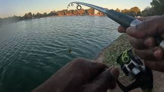 MUST WATCH BIG CARP TAKES MY POLE… [upl. by Yoo466]