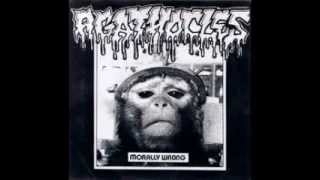 Agathocles  Violent Noise Attack FULL SPLIT [upl. by Yrrek]