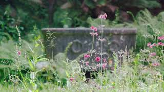 Boconnoc Estate and Grounds [upl. by Oba]