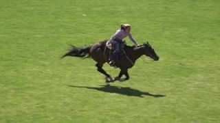 Cassi Johnson Pendleton RoundUp Barrel Race 7316 [upl. by Peednus]