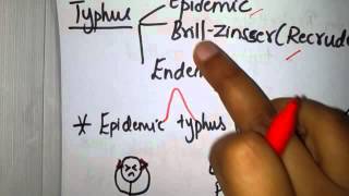 Rickettsia simplified  Part 1  Intro and classification [upl. by Attevaj]