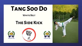 Learn Tang Soo Do at Home  Side Kick [upl. by Stacia]