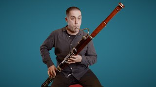 Introducing the French Bassoon [upl. by Pollerd239]