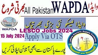 LESCO Jobs 2024  wapda Jobs 2024  lesco careers 2024  punjab jobs  LESCO OTS Jobs 2024 [upl. by Enelyaj]