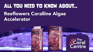 All You Need To Know About Reeflowers Coralline Algae Accelerator [upl. by Boehmer]