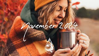 IndiePopFolk Compilation  November 2024 2½Hour Playlist [upl. by Ahsei]