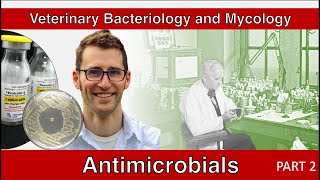 Antimicrobials Part 2  Veterinary Bacteriology and Mycology [upl. by Mook]