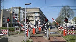 Spoorwegovergang Rotterdam  Dutch railroad crossing [upl. by Haelam768]