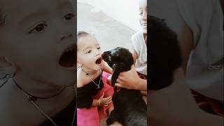 Risha ko Bakri ke bacche se dekho Kitna pyar hai 💜💜💜😚🥹minivlog sorts ytshort [upl. by Grunenwald613]