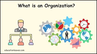 What is an Organization  Elements Process importance of Organization [upl. by Urbana]