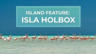 Isla Holbox A natural island paradise just outside Cancun  Cancuncom [upl. by Oira]