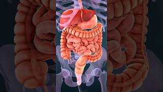 Vitamin B12 की deficiency को दूर करने के लिए 4 Veg option drrobin facts swasthy dietfood health [upl. by Dulciana]