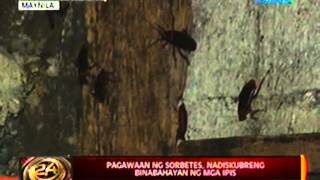 24 Oras Pagawaan ng sorbetes sa Maynila nadiskubreng binabahayan ng mga ipis [upl. by Tilda143]