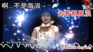 Teresa Teng  海韻 hai yun  karaoke [upl. by Narf]