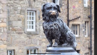 Ghost of Greyfriars Bobby The Loyal Spirit [upl. by Llirret]