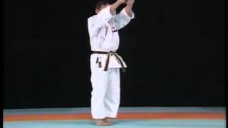 Kata 11  Niseishi Kata Explained [upl. by Nnov]