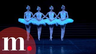 Swan Lake Tchaikovsky  Dance of the Little Swans [upl. by Ynoep419]