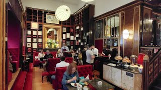 Inaugurato a Trieste il primo Caffé Sacher in Italia [upl. by Abocaj]