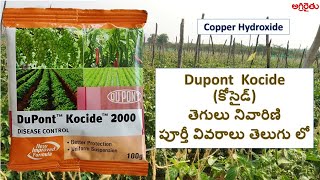 Dupont Kocide fungicide కోసైడ్ తెగులు నివారిణి in Telugu  Copper Hydroxide [upl. by Sayer]