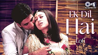 Ek Dil Hai  Lofi Mix  Ek Rishtaa  Kumar Sanu Alka Yagnik  Lofi Slowed Reverb Songs [upl. by Glaser]