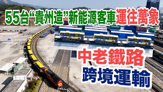 中老鐵路還能這樣運輸！55台“貴州造”新能源客車“坐火車”出境到萬象 [upl. by Gustafson]