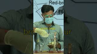 Decomposition Reaction  Class 10th MpBoardStudyzone byvinod sir experiment science chemistry [upl. by Ethelda]